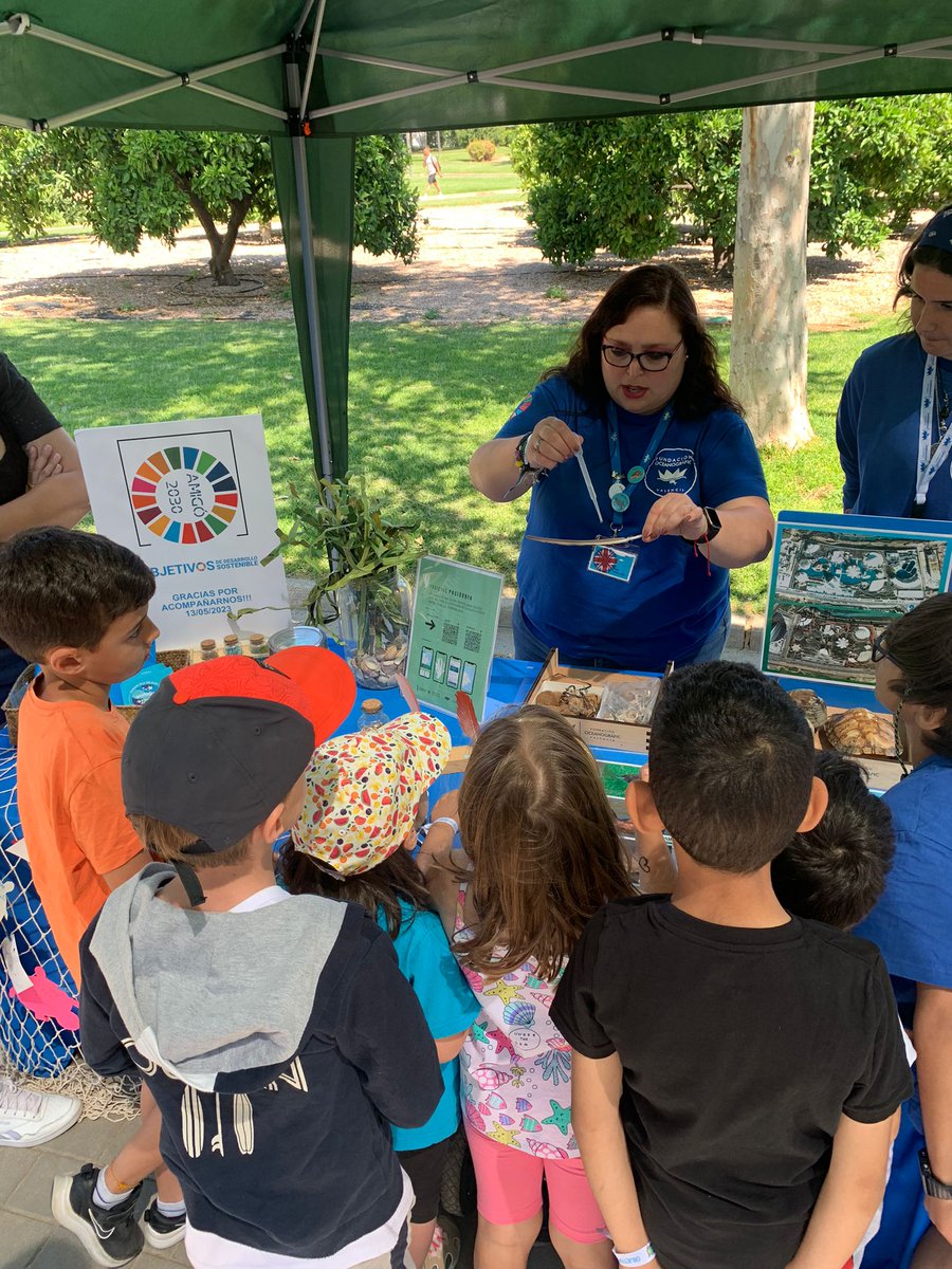 Oceanogràfic València tweet media