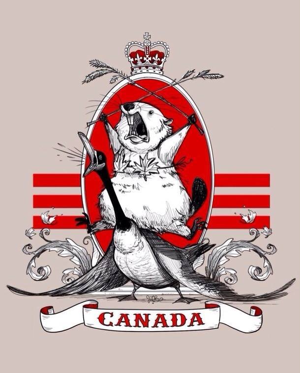 aureliuslordth's tweet photo. @JonnaBrewerCBC regarding the piece about geese this morning, the only thing that came to mind is this image from a couple years back https://t.co/hGybpmhYb8