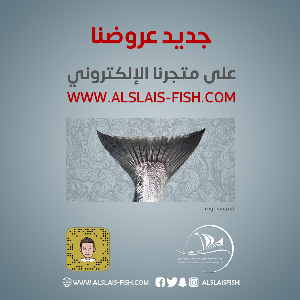 alslaisfish's tweet photo. جديد عروضنا .. تجدونها
على متجرنا الإلكتروني
https://t.co/7FCLDoctI3

#آل_سليس_اونلاين #سمك #طازج #سالمون #صافي #قاروص #عندق #سيبريم #روبيان #فيليه #كنعد #هامور #لدن #فسكر #شعري #مأكولات_بحرية #جودة #alslaisfish #seafood #fish #delivery #online #salmon #fresh #qatif #saudiarabia https://t.co/RpiP4g1Wz9