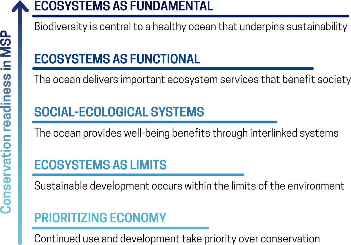 More work from my PhD coming in hot today! 

We propose the concept of (and need for!) #conservation ready #MarineSpatialPlanning #MSP. That means putting conservation at the core of marine spatial plans. authors.elsevier.com/a/1h4S9,714Mqy…