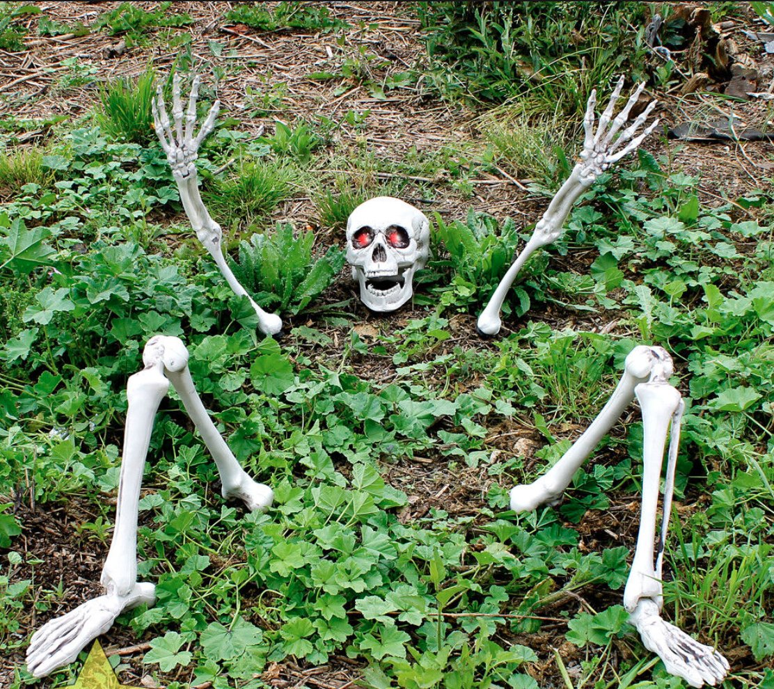 reallcaesar's tweet photo. saying hello from beyond the grave how are y'all doin? https://t.co/oOq4BSQUeq