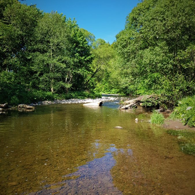 UNESCO Centre for Water Law, Policy and Science (@dundeewater) on Twitter photo 🚨 Happening today @ 2pm BST!
Dr John Matthews, Exec Director of <a href="/Alliance4Water/">Alliance for Global Water Adaptation (AGWA)</a> is visiting <a href="/DundeeWater/">UNESCO Centre for Water Law, Policy and Science</a> & will be presenting a seminar on 'The Resilience Revolution: How #ClimateChange is Driving #Water'.
Join here - bit.ly/42EQneq 🚨 Happening today @ 2pm BST!
Dr John Matthews, Exec Director of <a href="/Alliance4Water/">Alliance for Global Water Adaptation (AGWA)</a> is visiting <a href="/DundeeWater/">UNESCO Centre for Water Law, Policy and Science</a> & will be presenting a seminar on 'The Resilience Revolution: How #ClimateChange is Driving #Water'.
Join here - bit.ly/42EQneq