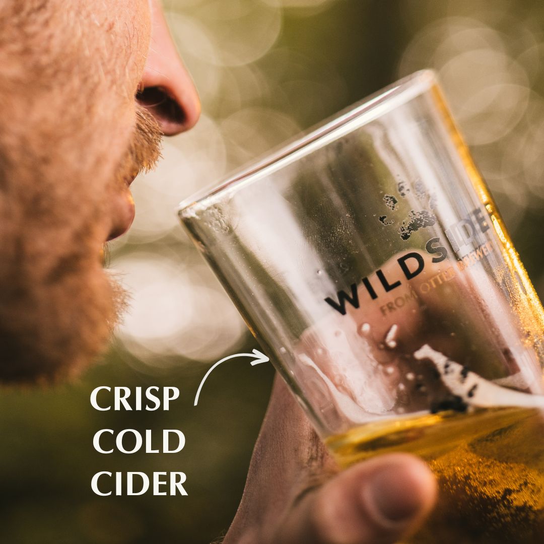 Otter Brewery tweet media