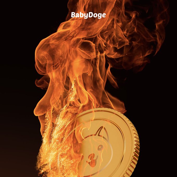 Next big burn 🔥 coming soon

#babydogecoin