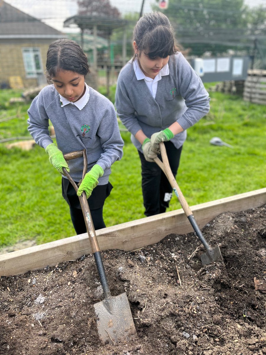 Hazelbury Primary School tweet media