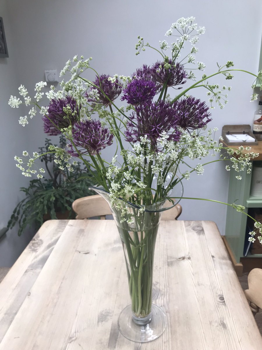 Picked from my #garden today. #allium but is the white flower the dreaded #gianthogweed
@TheMontyDon @GWandShows @gardenbarbara