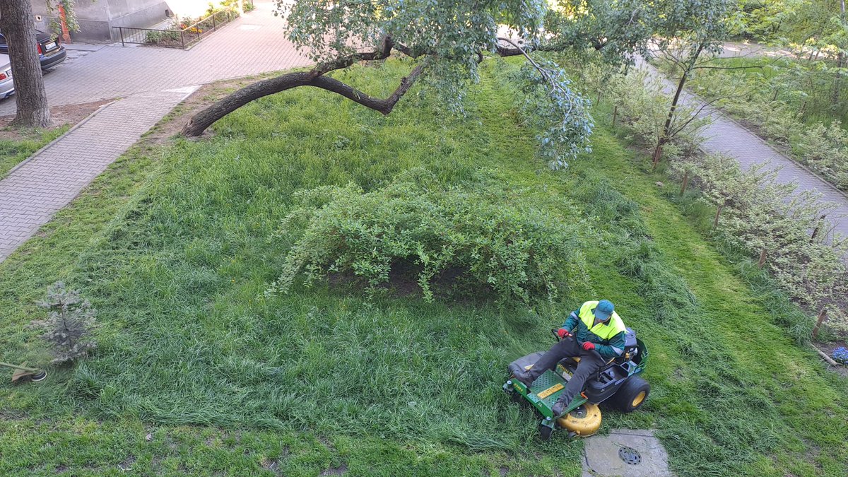 jerzy.chodorek tweet media