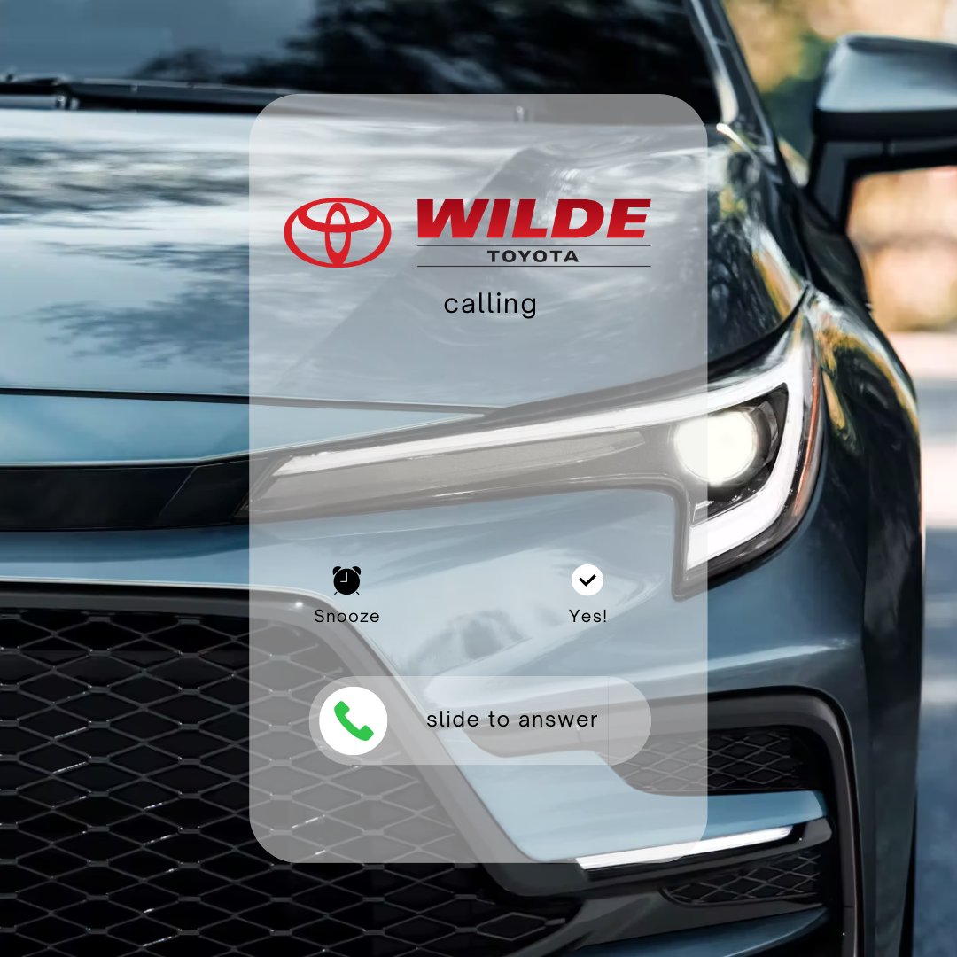 Wilde Toyota tweet media