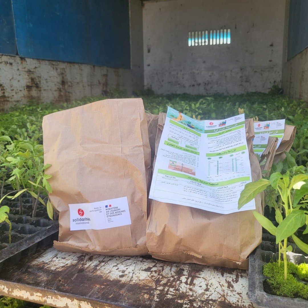 Solidarites_Int's tweet image. Au #Liban 🇱🇧, dans le Gouvernorat de la #Bekaa, nos équipes renforcent la sécurité alimentaire des populations. L'agriculture durable est notamment encouragée afin d'aboutir à des systèmes d'alimentation qualitatifs et suffisants. 🌱✅
Avec le soutien de @francediplo
 @CdCMAE