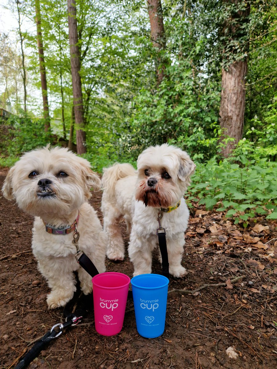brummiecup's tweet photo. If you regularly buy a takeaway drink while walking your dogs, moving to a brummie cup will save lots of waste.
Borrow a brummie cup for a £2 deposit, enjoy your walk, and then return it either on your way home or on your next
#dog
#dogs
#dogwalker
#doglover
#birminghamdogs https://t.co/Mqfa7BbzSk