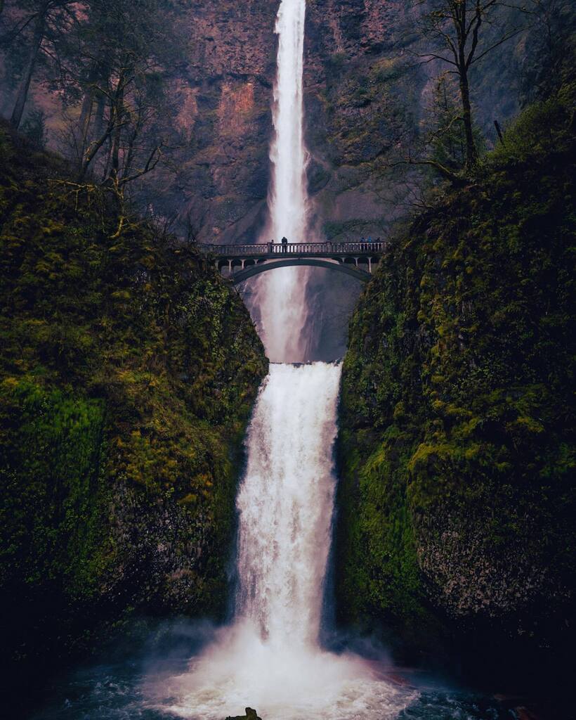 An amazing site to visit near Portland. Decided to stop here on a work trip and am very glad I did. Wish I had the time to hike the trails but seeing the waterfall was all I had time for. 

Fujifilm X-T2 | XF14 | ISO 400 | f/4 | 1/500 sec

#fujifilm #fuj… instagr.am/p/CsQx2pKIo8W/