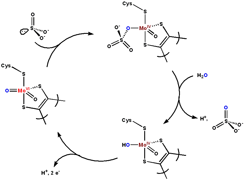 Alastair Baker (@alastairbaker1.bsky.social) tweet media