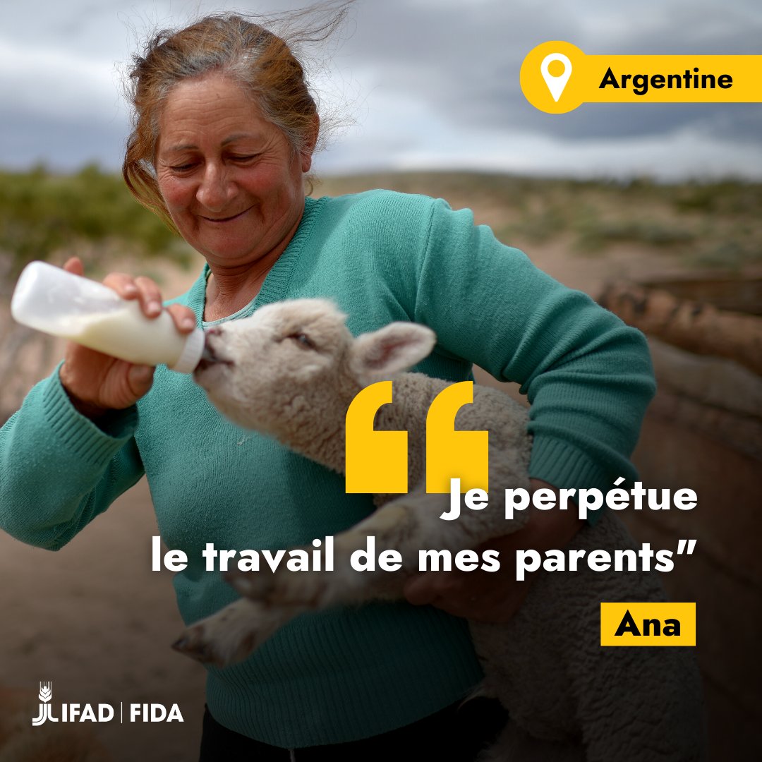 leFIDA's tweet image. Ana élève des 🐐 en #Argentine sur la terre de ses parents.

⚡ Mais le #ChangementClimatique fait reculer les pâturages et souffler de violents vents secs.

@leFIDA aide les agriculteurs locaux à se procurer du fourrage et de l'eau et à construire des abris pour les animaux 🇦🇷.