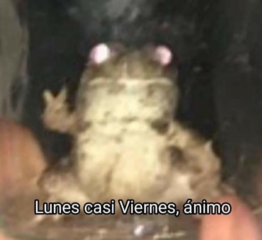 piña sin pizza (@skereunpesado) on Twitter photo 