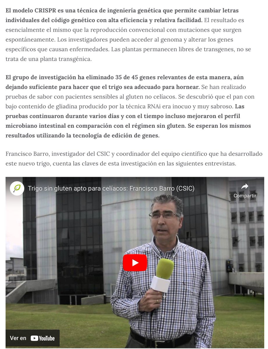 sombradoble's tweet photo. Las personas con #celiaquía, tendrían acceso a un pan tradicional pero libre de #gluten, si Europa adoptara un marco regulatorio proporcionado y basado en la #ciencia
Investigadores @CSIC lo ensayan con técnica #CRISPR
#25AÑOSOMGSUE
Gr. @fundacionantama
https://t.co/GmNNSbiMvR https://t.co/shqB3xwjYw