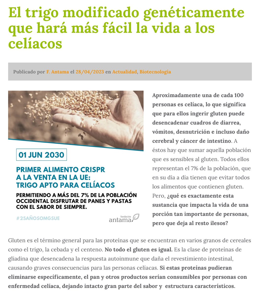 sombradoble's tweet photo. Las personas con #celiaquía, tendrían acceso a un pan tradicional pero libre de #gluten, si Europa adoptara un marco regulatorio proporcionado y basado en la #ciencia
Investigadores @CSIC lo ensayan con técnica #CRISPR
#25AÑOSOMGSUE
Gr. @fundacionantama
https://t.co/GmNNSbiMvR https://t.co/shqB3xwjYw
