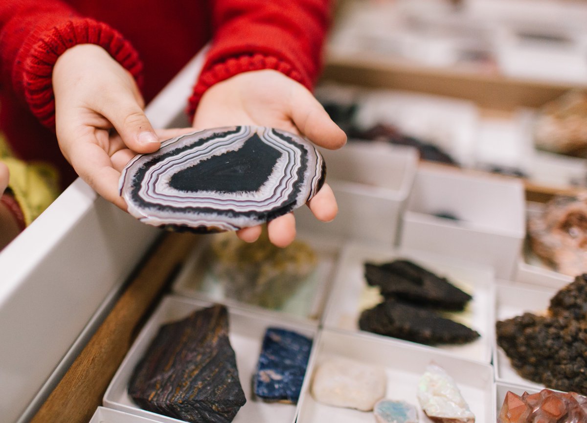 Lapworth Museum of Geology (@lapworthmuseum) on Twitter photo *Amazing Job Alert!*🌋🦕
Join our fantastic team! We are looking for an engaging and innovative Learning, Communications and Engagement Officer!
➡️ow.ly/iT0I50OfB3z
<a href="/unibirmingham/">Uni of Birmingham</a> <a href="/ace_national/">Arts Council England</a> @nonschistyjobs <a href="/ESTA_UK/">ESTA</a> <a href="/LeicsMusStud/">School of Museum Studies</a> #geologyjob #museumjob #MineralMonday *Amazing Job Alert!*🌋🦕
Join our fantastic team! We are looking for an engaging and innovative Learning, Communications and Engagement Officer!
➡️ow.ly/iT0I50OfB3z
<a href="/unibirmingham/">Uni of Birmingham</a> <a href="/ace_national/">Arts Council England</a> @nonschistyjobs <a href="/ESTA_UK/">ESTA</a> <a href="/LeicsMusStud/">School of Museum Studies</a> #geologyjob #museumjob #MineralMonday