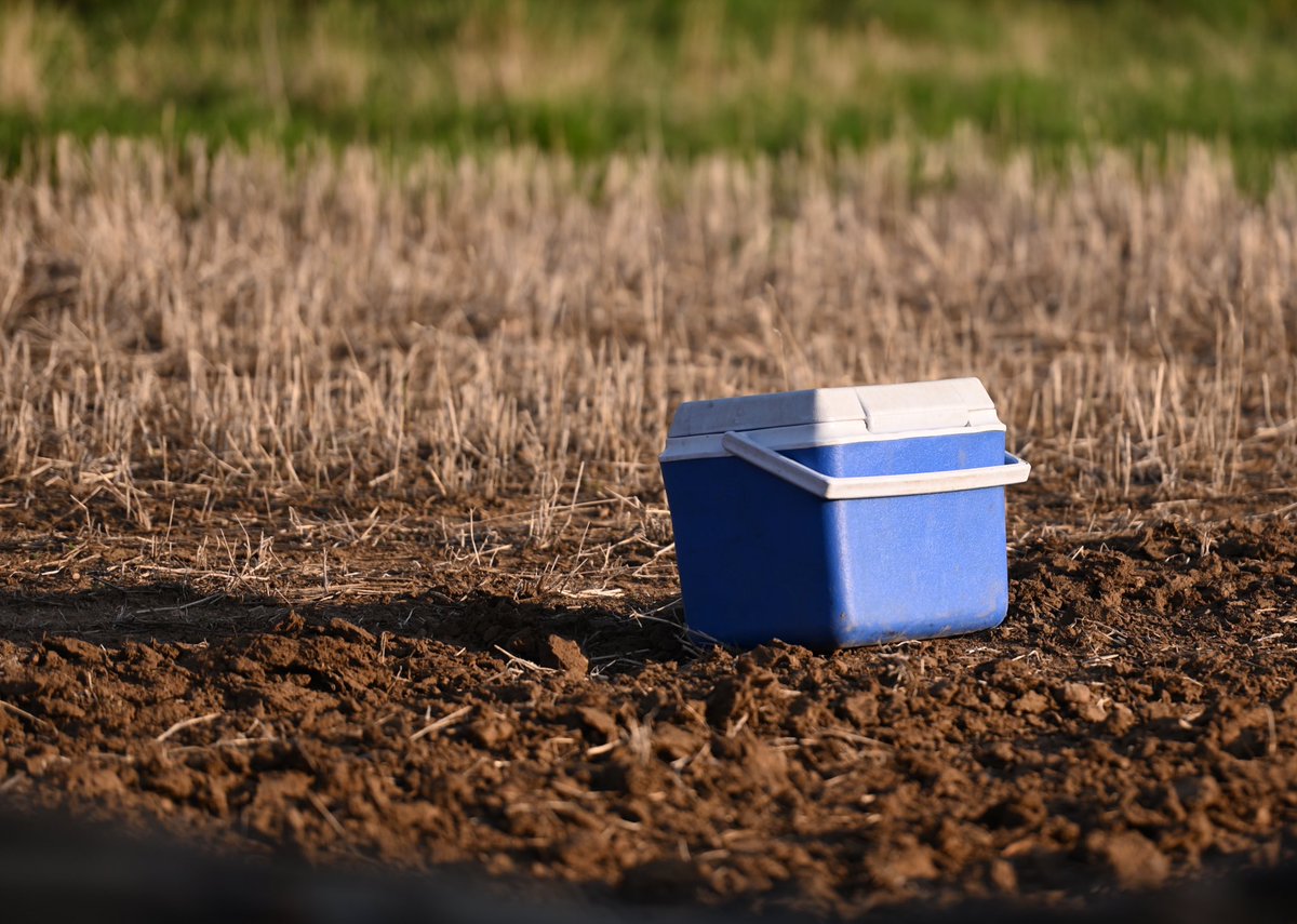 tara_m_davidson's tweet photo. May your cooler be ever-full of tasty snacks and always in the right outfit…Happy Monday, have a safe and productive week! #plant23 #cowchoe #farmlife #franching https://t.co/Nwh4v3Ehbl