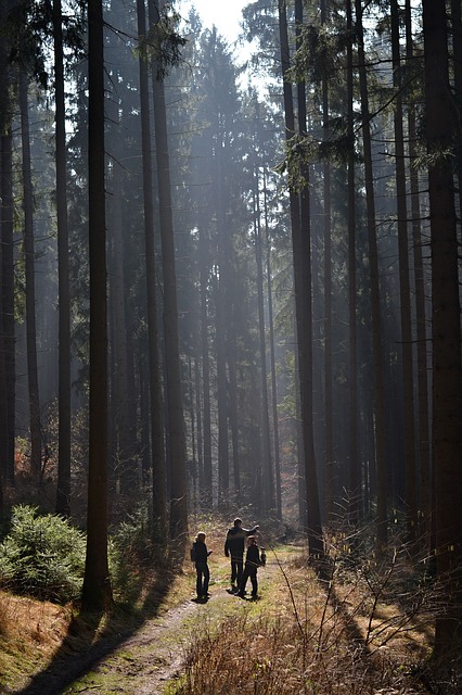 Forest Bathing helps to reduce stress & boost overall health such as immunity, blood pressure & energy.  

The scent and sight of fresh foliage affects the prefrontal cortex in the brain & has a relaxing effect on the autonomic nervous system.  

 #walkinthewoods  #health