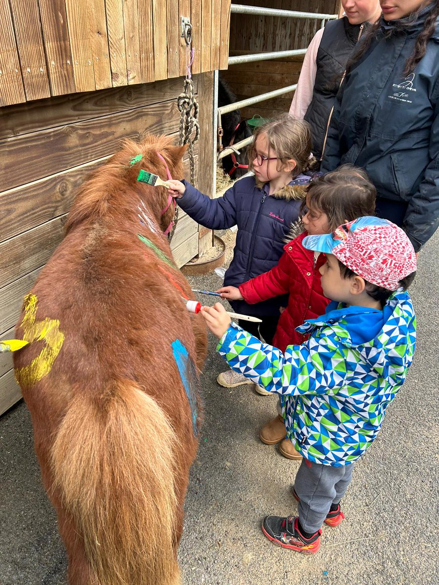 Communauté de communes du Pays d'Uzerche tweet media