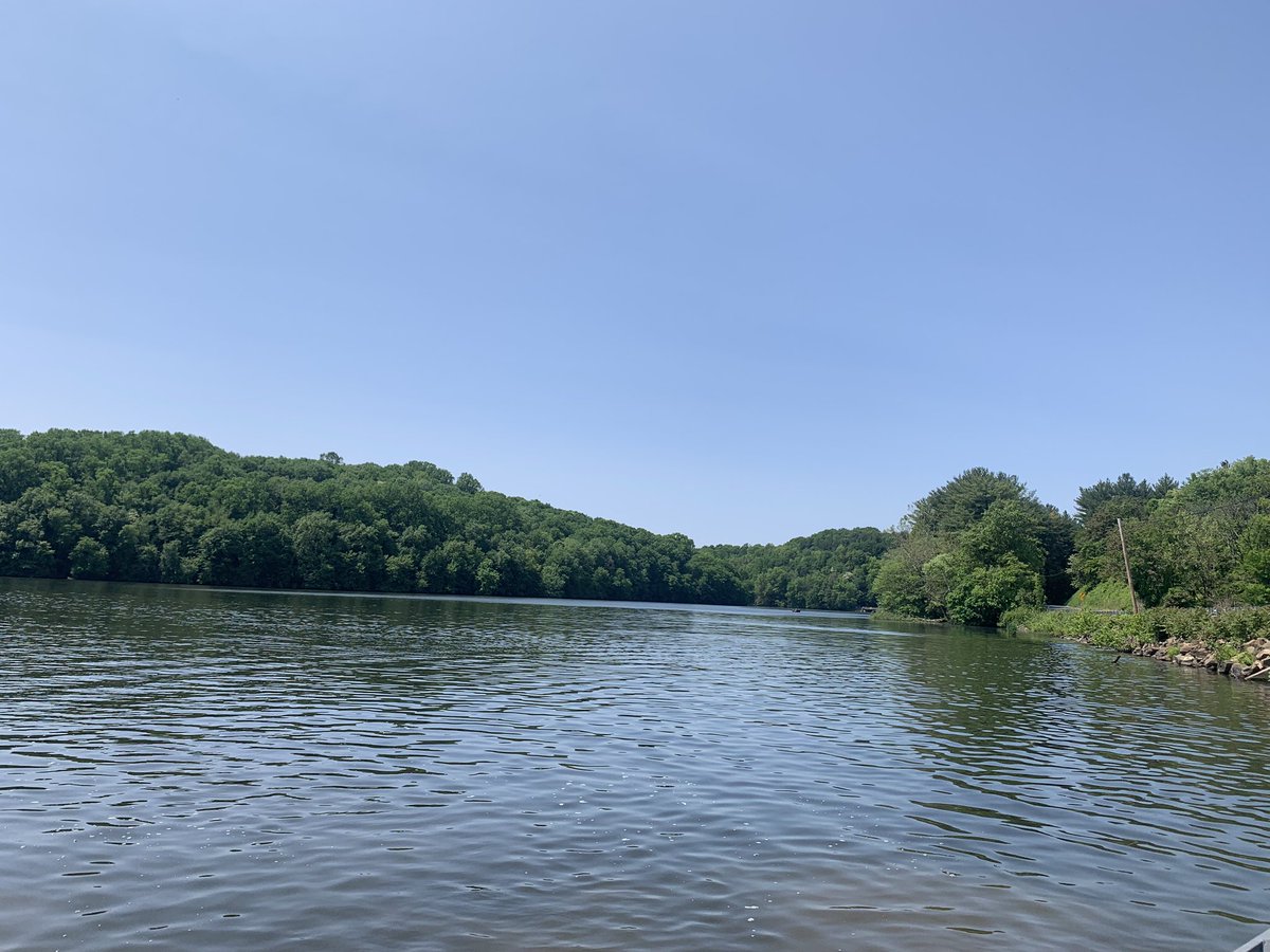 Luanne Steffy tweet media