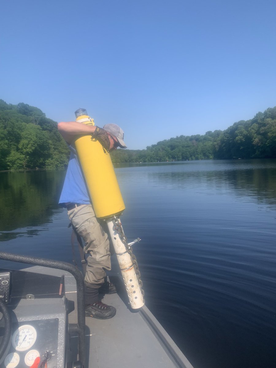 Luanne Steffy tweet media