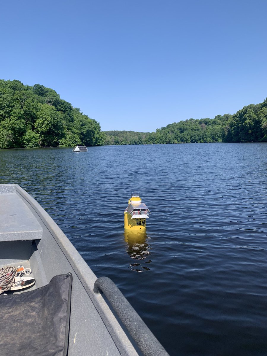 Luanne Steffy tweet media