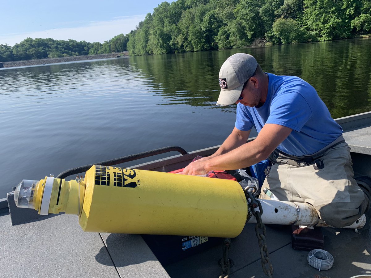 Luanne Steffy tweet media