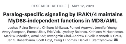 We are excited to share our latest paper in @BloodJournal describing new functions of the IRAK1 & IRAK4 complex in MDS/AML, which has broad therapeutic implications. ashpublications.org/blood/article/…