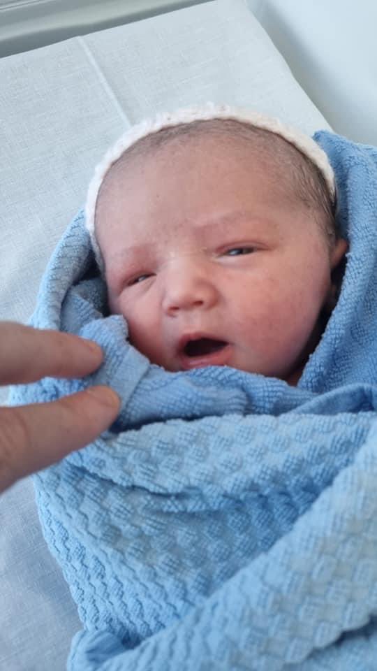 Professor Paddy Gray tweet media