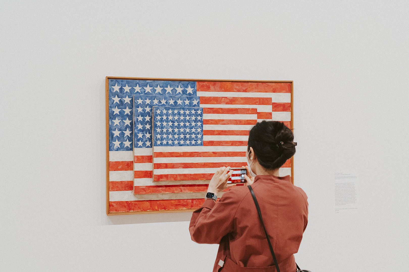 Jasper Johns Three Flags 1958