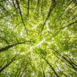 Learn how your habits can impact your sense of wellbeing and your ability to cope throughout the day.  SELF-CARE AND RESILIENCE is today from 3 to 4 on Zoom. buff.ly/3I4K4Z8