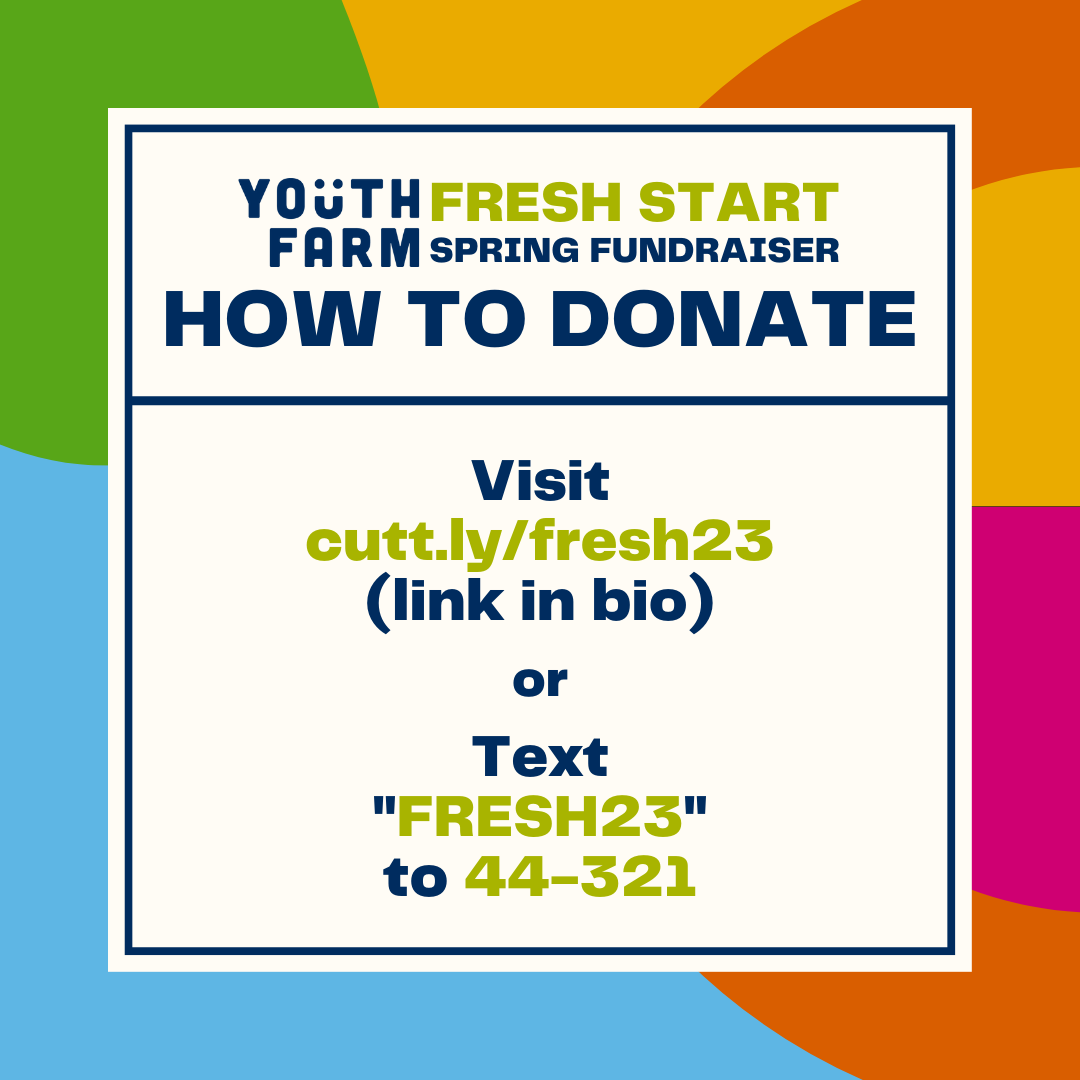 “In just this past year, Minnesotan families broke the state record for most food shelf visits within a calendar year, a staggering 5,505,100.”
Want to experience the full story and/or support this work? Head on over to linktr.ee/youthfarmmn, or RT and share :-)