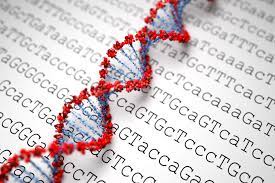 Conférence sur 20 ans de séquençage, cette cartographie des gènes qui permet d'identifier des mutations génétiques à l'origine de maladies graves. Comment le séquençage haut débit a révolutionné la médecine : #Génétalks du 22/5, 18h30 à l'<a href="/InstitutImagine/">Institut Imagine</a>👉bit.ly/3Ob7obq