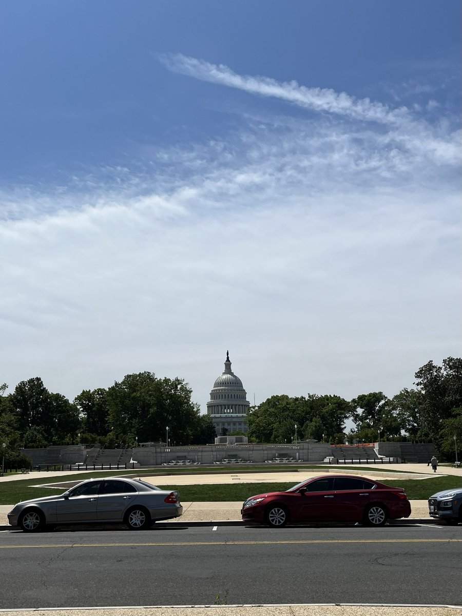 Cynthia Tan tweet media