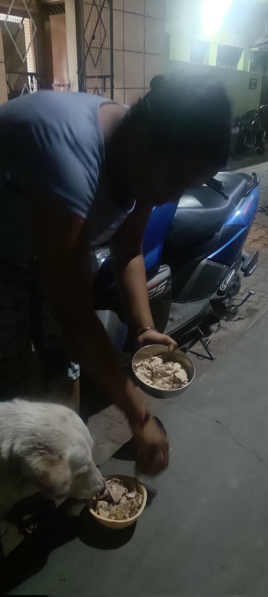 mallika_2o's tweet photo. #10DaysChallenge #BeKindToAnimals #AdoptDontShop
#FoodForAll #EveryLifeMatters #WeCare #ShelterForAll #Not_ME_But_YOU #NSS #NSSOU #Chandigarh #India
Jai Hind, Jai Bharat...🇮🇳🙏

@NSSOpenUnit @iBikramRana @Binesh_Bhatia @ritikaverma_pu https://t.co/pMZfStVOGd