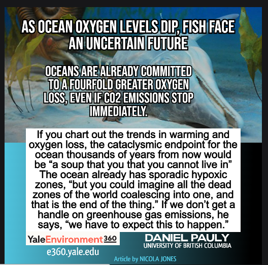 @jim27182 @Shelagh29606970 @DrTELS #7B60 Oceans are already committed to a fourfold greater oxygen loss, even if CO2 emissions stop immediately.
#ClimateEmergency 
e360.yale.edu/features/as-oc…
twitter.com/CodeRedEarth/s…