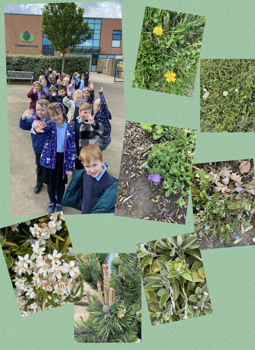 Today we went on a Spring walk. We saw lots of signs of Spring such as flowers, insects, birds and blossom. We had a great time! 🌸 <a href="/KingswoodParksP/">Kingswood Parks Primary School</a>