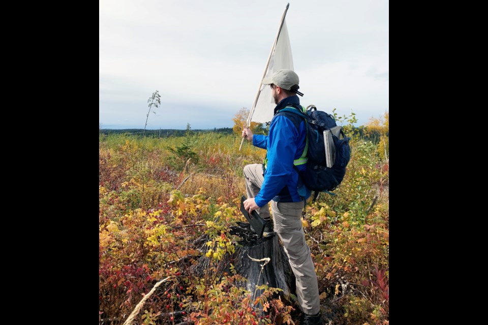 UNBC's tweet photo. UNBC researcher Ben Spitz speaks with the @PGCitizen about why winter ticks are harmful to moose in northern B.C. and what can be done to control the tick population. Read the full story:
https://t.co/AYKYOL8djM https://t.co/blSakDy6q6