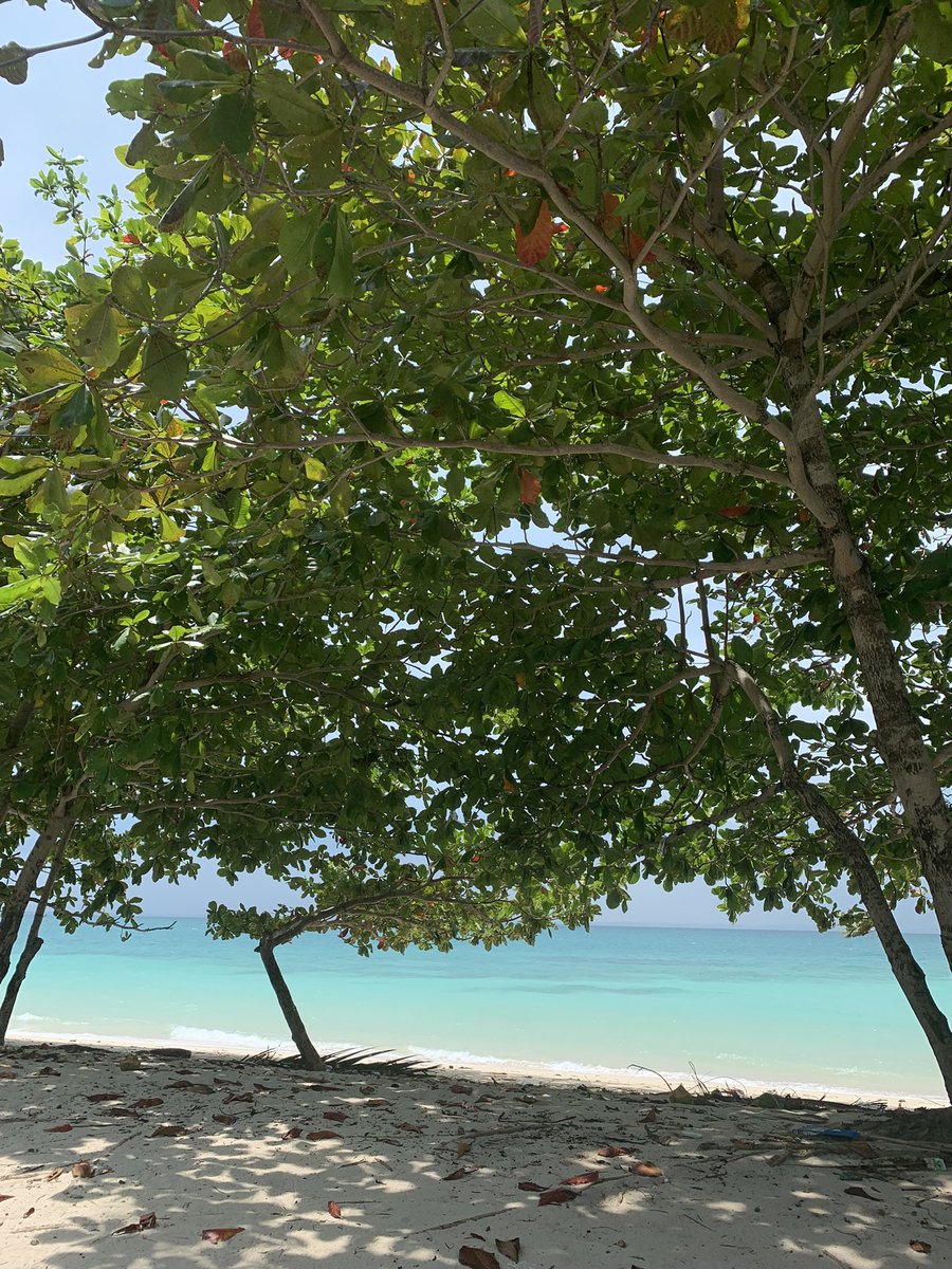 afsandria's tweet photo. Hidden gem di pulau bangka https://t.co/ckVhoWeHy2