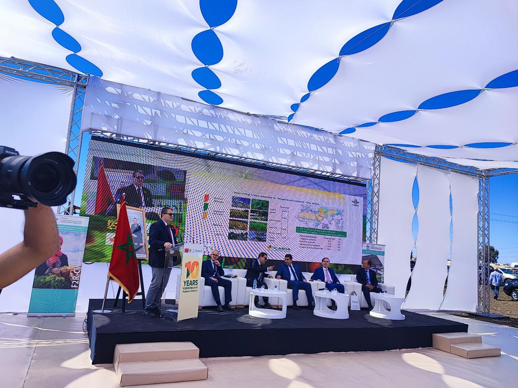 Rachdad Fatima Ezzahra tweet media