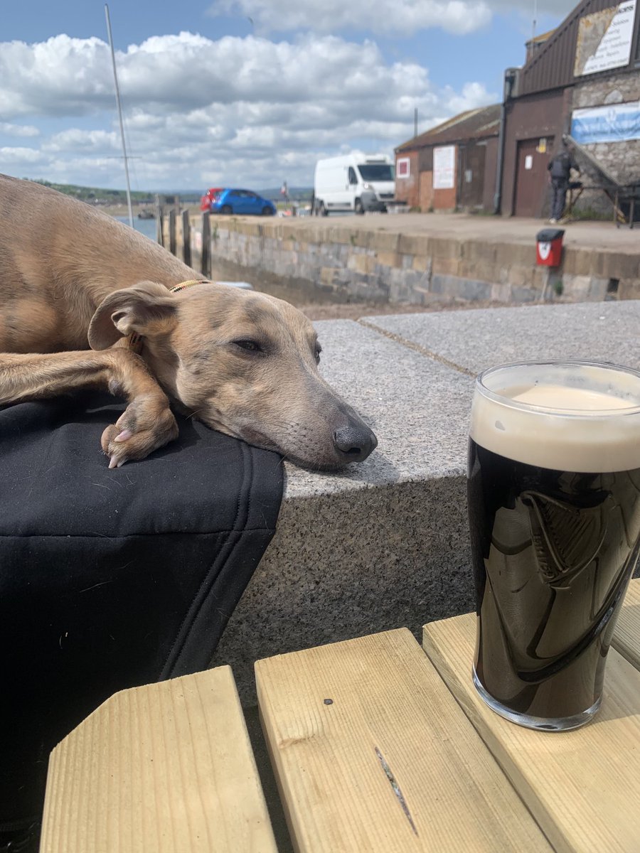 liamnorrisblstk's tweet image. Quiet pint on the pub wall #theship #teignmouth