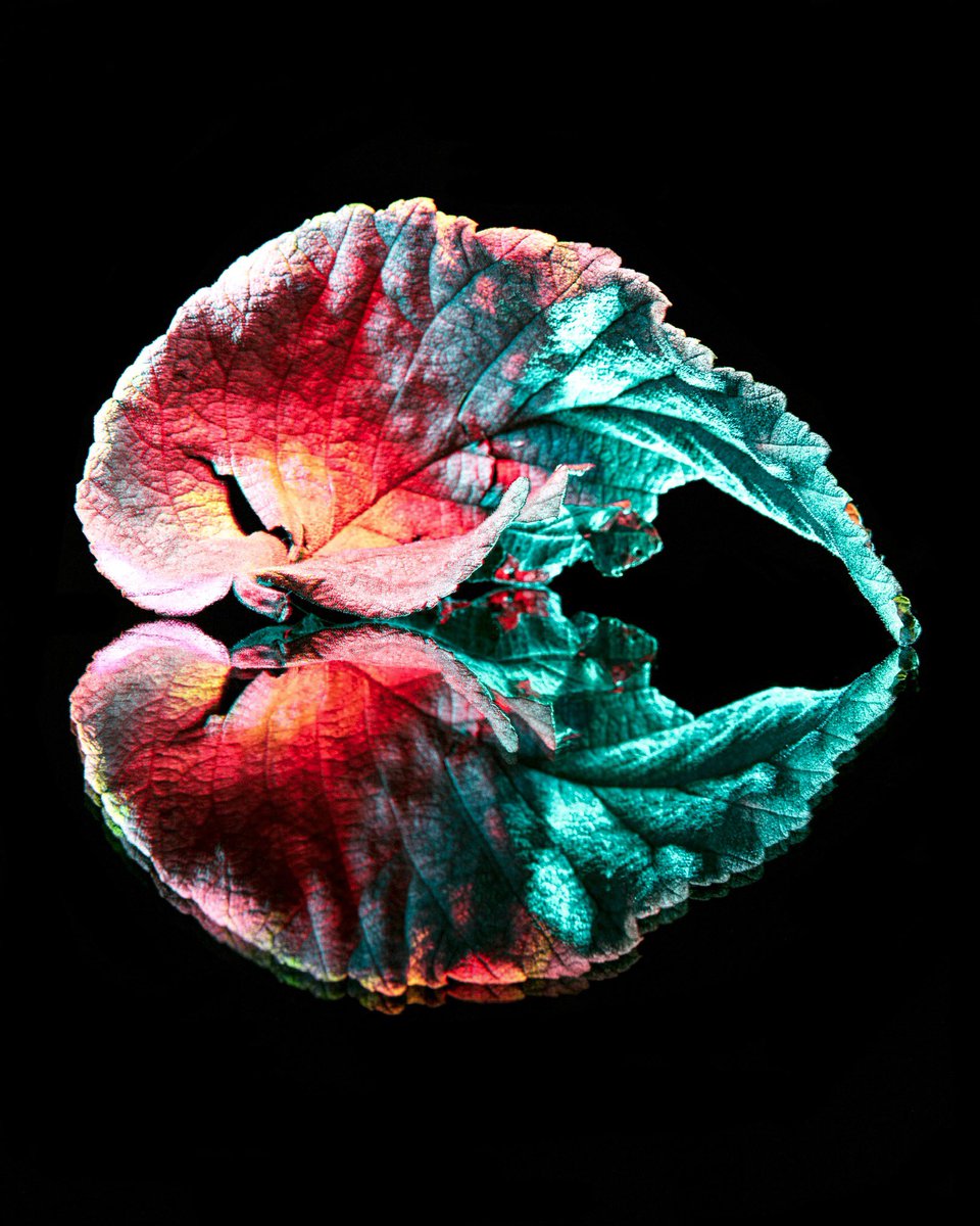 Embrace change, innovate, collaborate -
Boundless imagination, collective progress.
#photooftheday #nature