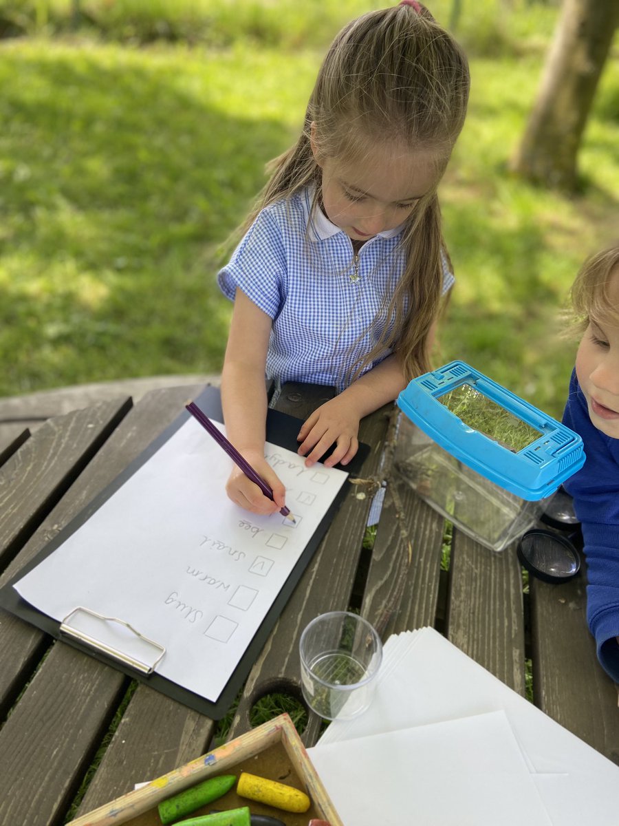 FOG_Acorns's tweet photo. Acorns have been looking for signs of summer today and have also been looking for mini-beasts! We spotted beetles, worms, caterpillars and woodlouse 🐛🪱🪲 #FOGForestSchool #FOGScience https://t.co/Y5pDep3kTw