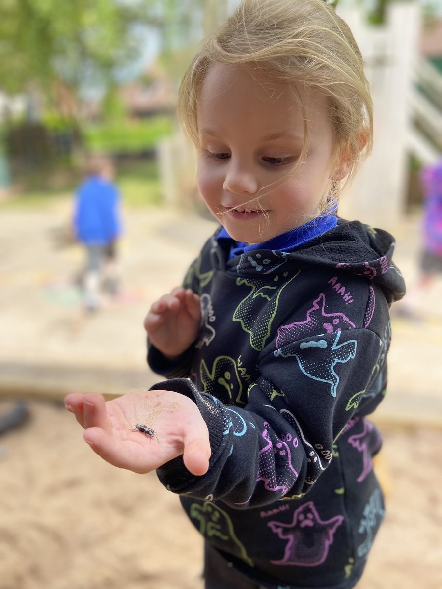 FOG_Acorns's tweet photo. Acorns have been looking for signs of summer today and have also been looking for mini-beasts! We spotted beetles, worms, caterpillars and woodlouse 🐛🪱🪲 #FOGForestSchool #FOGScience https://t.co/Y5pDep3kTw