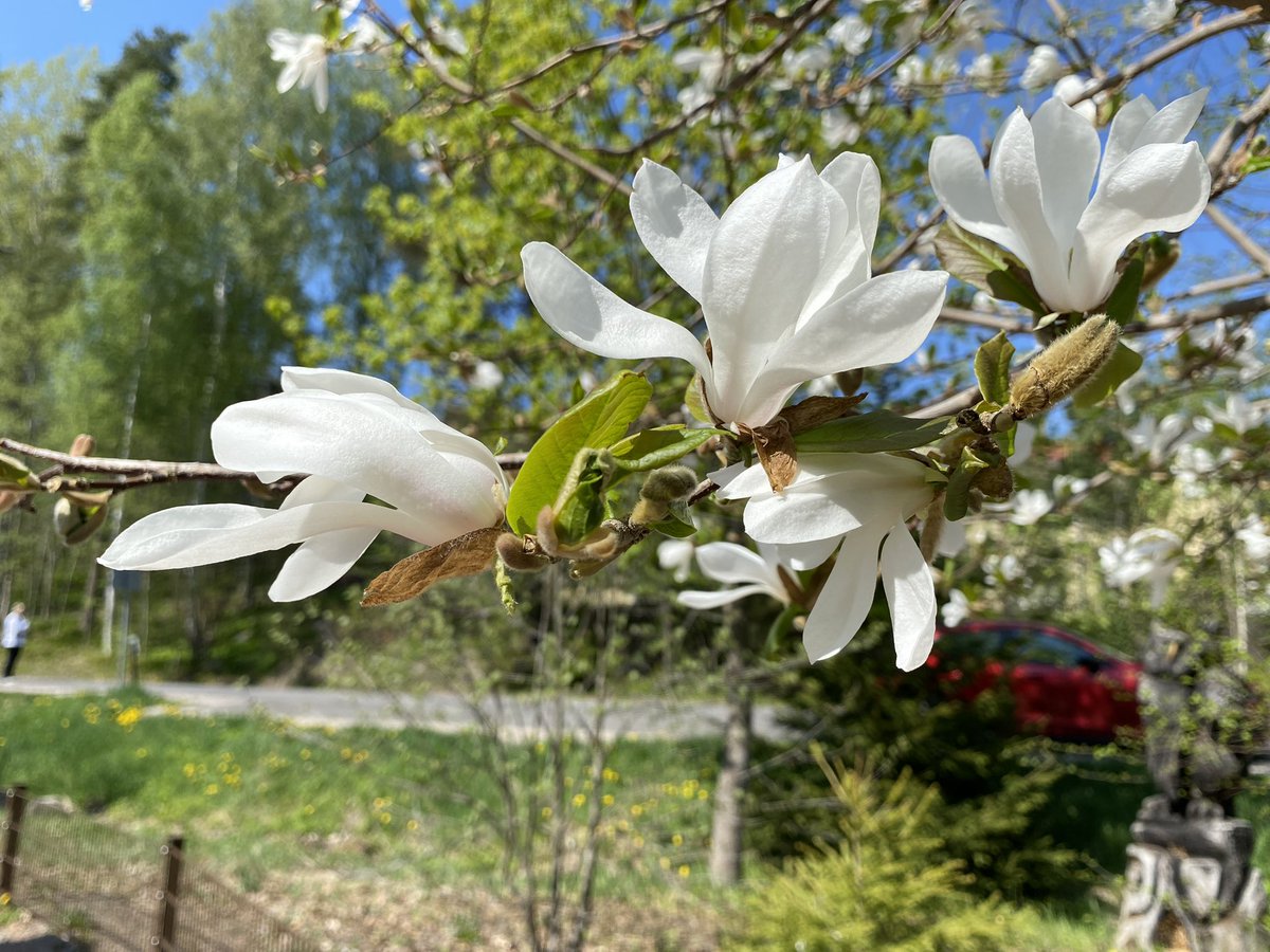 MormorJan's tweet photo. Greetings from Finland #womaninbizhour https://t.co/ctoBnQPZdT