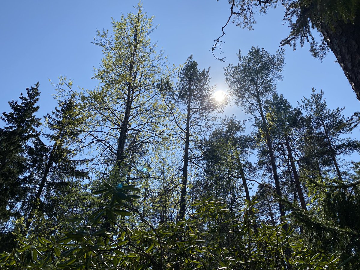 MormorJan's tweet photo. Greetings from Finland #womaninbizhour https://t.co/ctoBnQPZdT