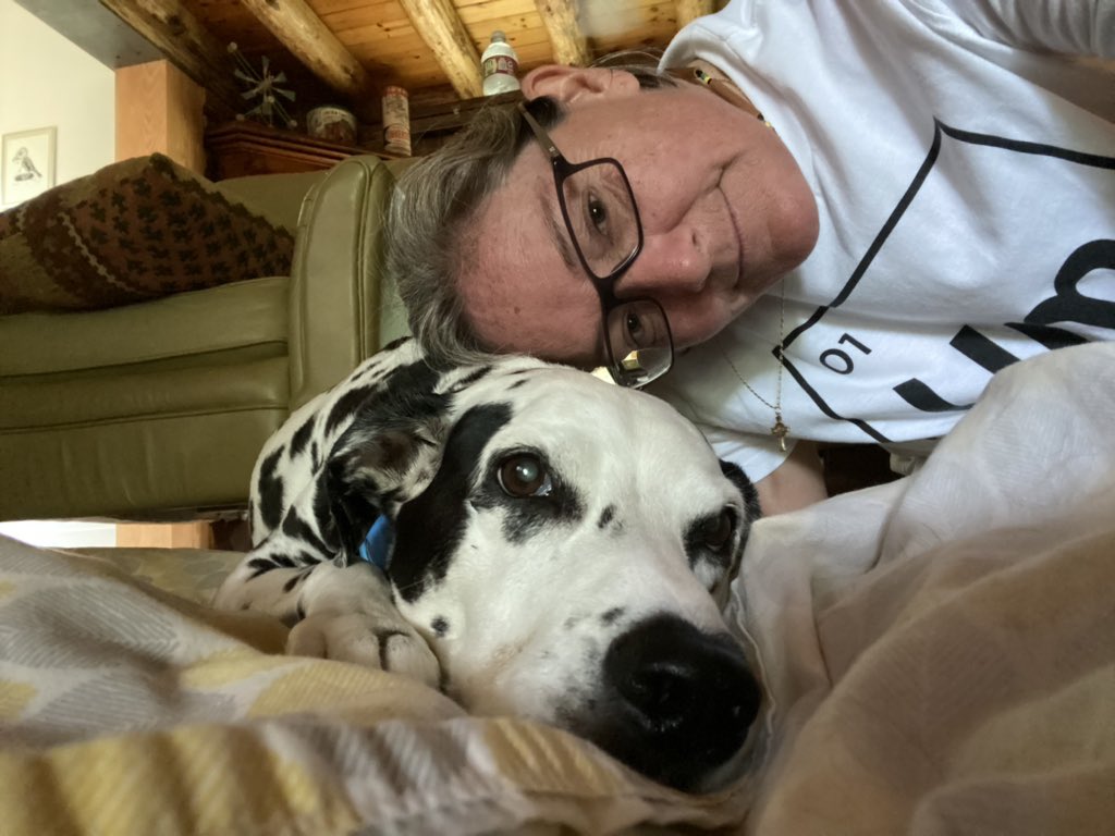 beyourownSPoT's tweet photo. without you by my side. I love you forever sweet girl and will never ever, forget you. Your loving mom, Alicia 💙🐾⚽️ 3/3 https://t.co/MW2yuflsu1
