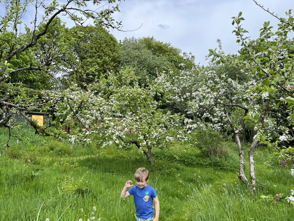 Holly Mount Orchard tweet media