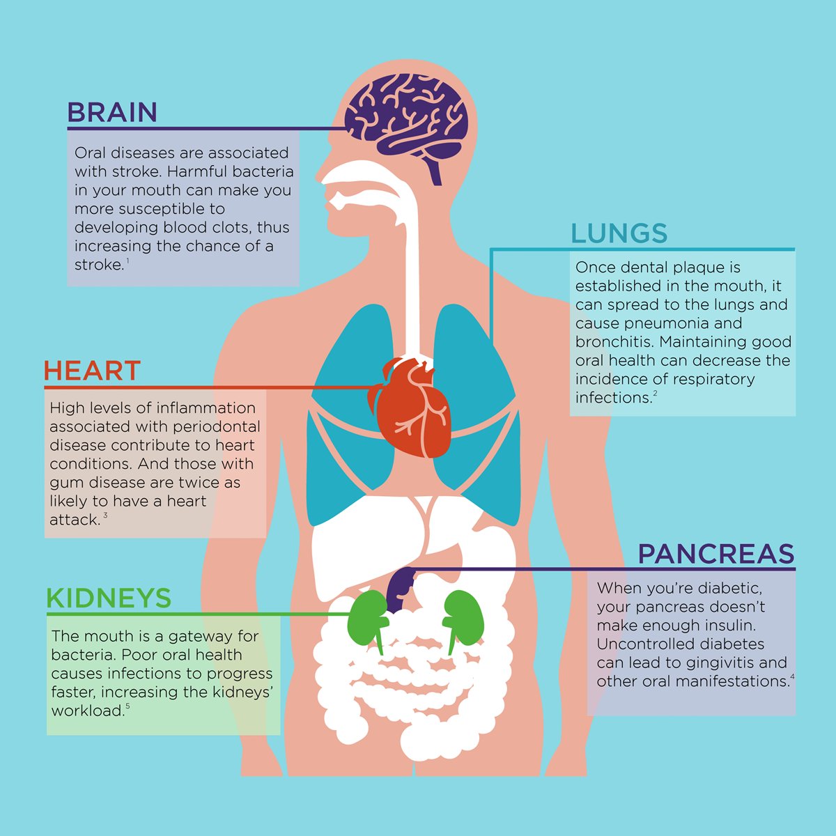 DeltaDentalNJCT's tweet image. Your #oralhealth has a huge impact on other parts of your body! Taking care of your oral health is taking care of your #overallhealth! #FearFree #FearFree2023 #FearFreeattheDentist